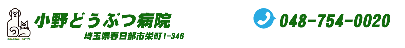 小野どうぶつ病院